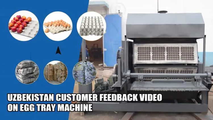 Uzbekistan customer feedback video on egg tray manufacturing plant