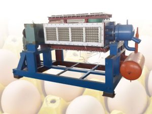 Línea de producción de bandejas de huevos SL-4-4