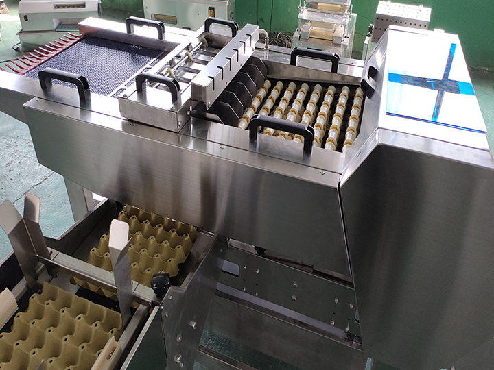 Egg Packer Machine