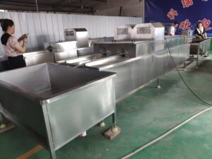 Ligne de production de traitement des œufs