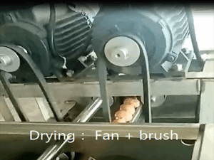 drying2