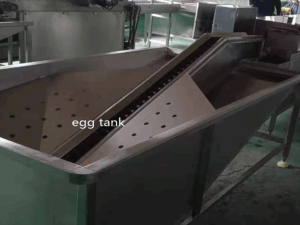 egg tank