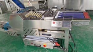 egg packer machine