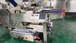 egg packer machine