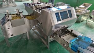 egg packer machine