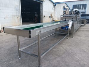 Ligne de production de traitement des œufs