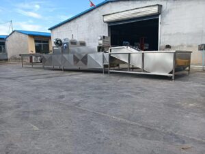 Ligne de production de traitement des œufs
