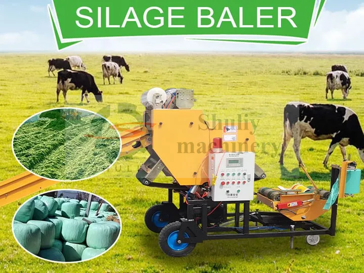 Ensilado de maíz en fardos redondos en venta